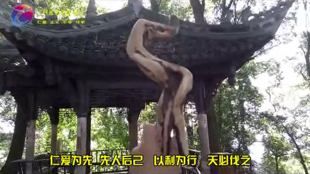 2015解放地球🌏光之神盾🛡️开启🔛！