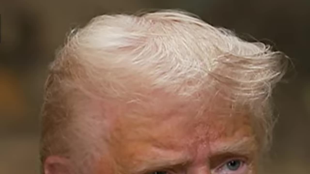 Trump says Democrats 'lost big' because of 'stupidity'