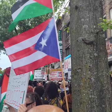 Puerto Rican 🇵🇷 supports Palestine 🇵🇸💯.