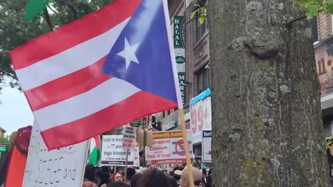 Puerto Rican 🇵🇷 supports Palestine 🇵🇸💯.
