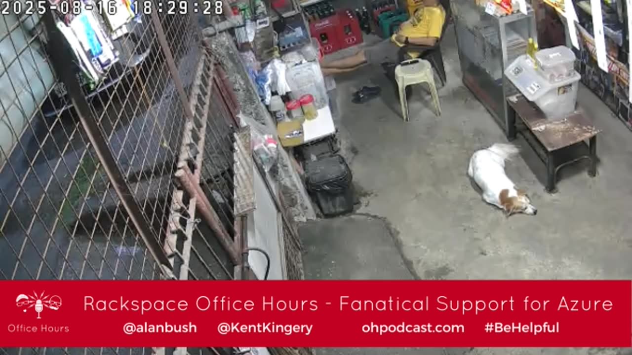 Mitsubishi Xpander 2019 Live