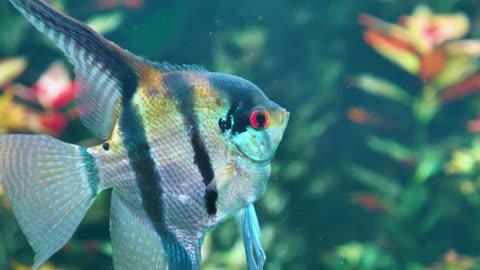 The Unseen Depths: A 8K Visual Journey