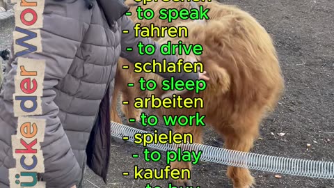 Deutsch Verben / English Verbs