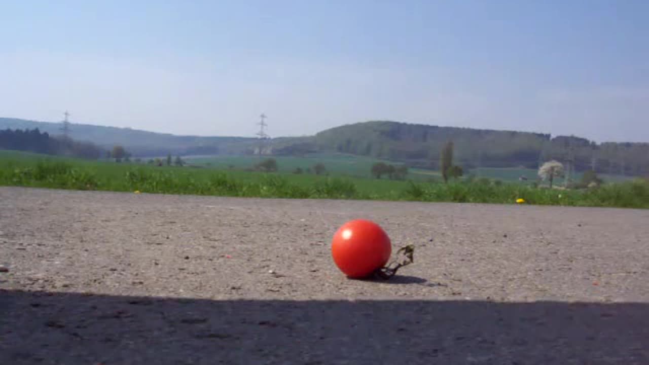 Accidental Tomato Smash