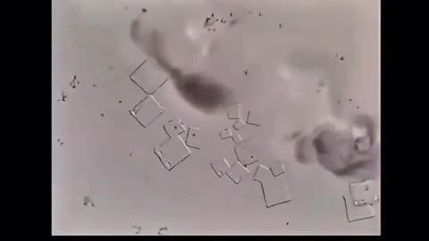 Nicotine Destroys Nanotech Under Microscope?