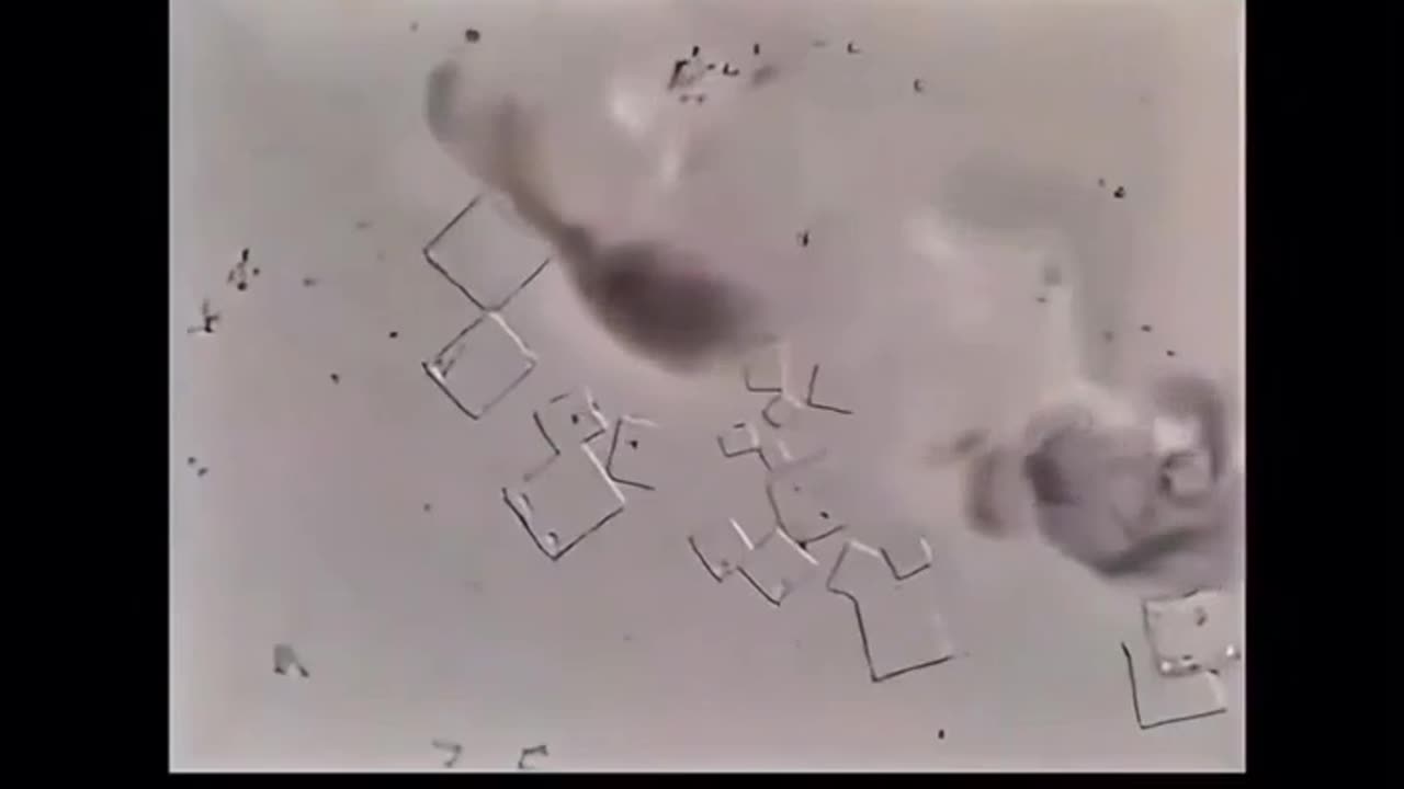 Nicotine Destroys Nanotech Under Microscope?