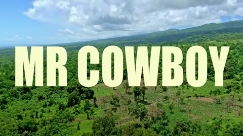 Mr Cowboy - OB-LA-DI, OB-LA-DA (Official Music Video)