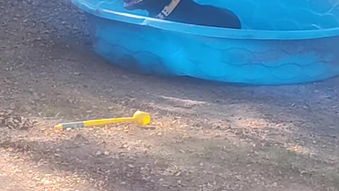 😂🌊 She Thought This Was the Pool Party of the Century... | FunFM