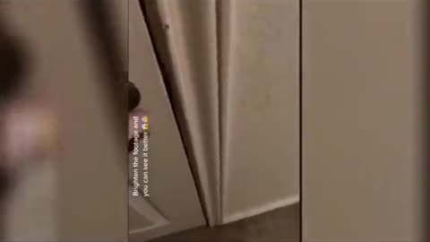 😱💀 Terrifying Poltergeist Activity | TheHauntingHour