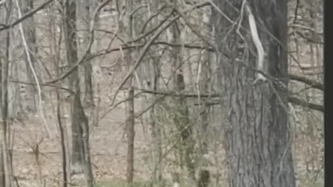 😱👻 What Is That Creepy Thing? | TheHauntingHour