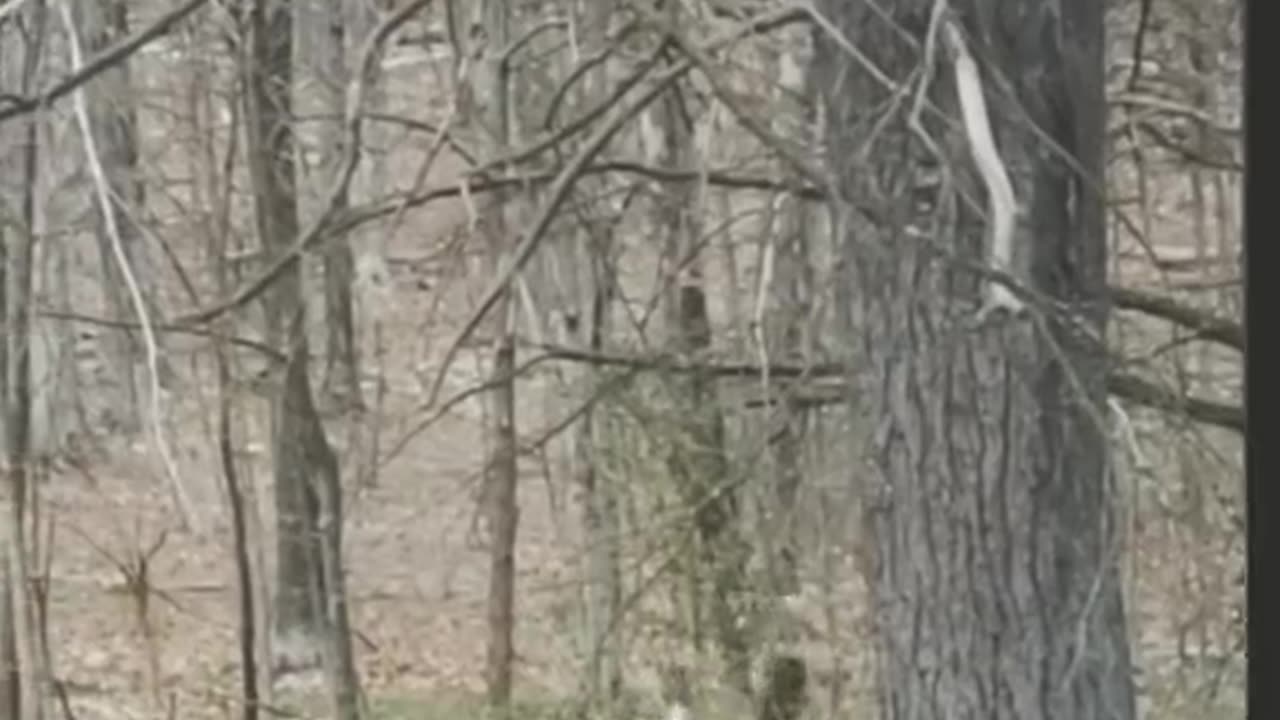 😱👻 What Is That Creepy Thing? | TheHauntingHour