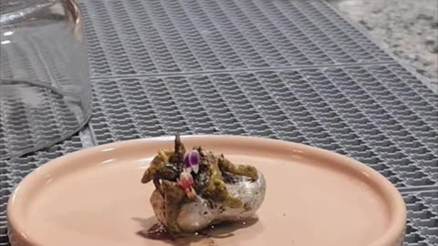 Strange things indeed!