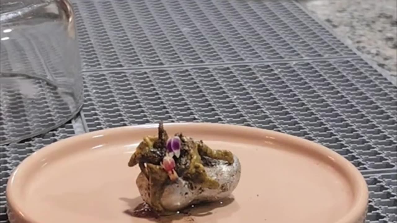 Strange things indeed!