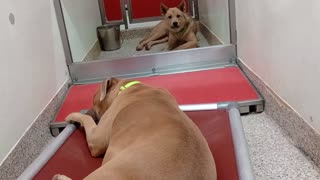VID_20250827_152121773
