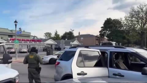 She was tailing and impeding DHS agents.