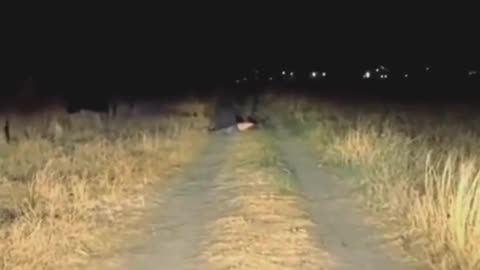 They found a MOTHMAN on the road!