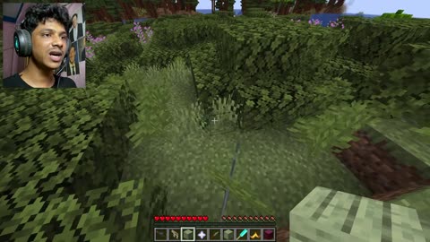 Minecraft RANDOM Mob Transformations 🤯 + Surprise Block Drops!