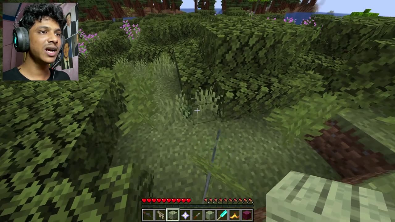 Minecraft RANDOM Mob Transformations 🤯 + Surprise Block Drops!