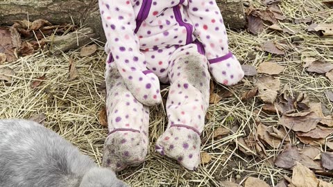 Baby Kayla Feeding Bunny Pellets | Sweet Pet Care Moment