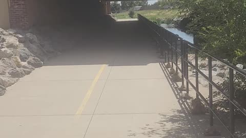 Lowell Avenue area trails, Westminster Colorado