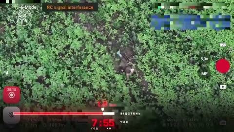 💥Using FPV drones, border guards of the "Forpost" brigade destroyed a reconnaissance