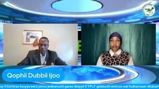 Qophii Dubbii Ijoo ONM-ABO Caamsaa 29-2025 itti dhiyaadhaa!