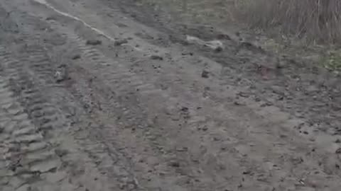 Supply road of the Ukrainian Armed Forces on the Dobropole direction