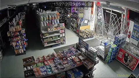 Video shows Livonia police pursuing convenience store break-in suspects