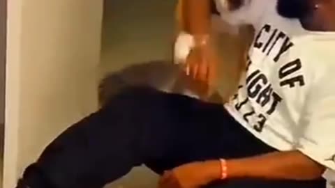 Dog's shocking moments 😳😳