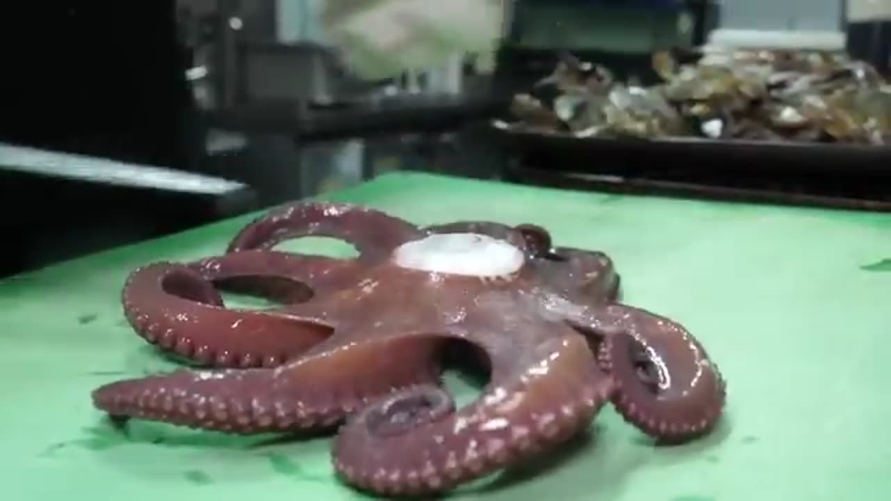 Octopus Seafood soup - Korean street food