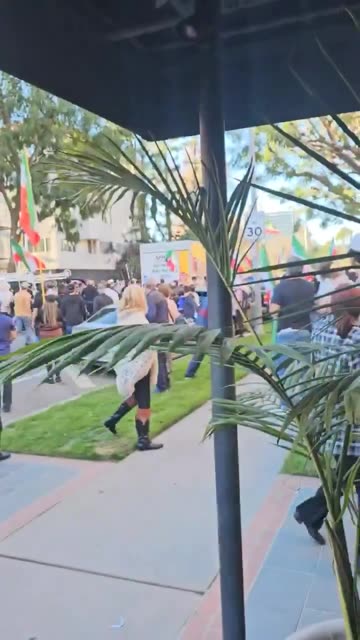 Φορτηγό έπεσε πάνω σε πορεία Ιρανών αντικαθεστωτικών, στο Λος Άντζελες