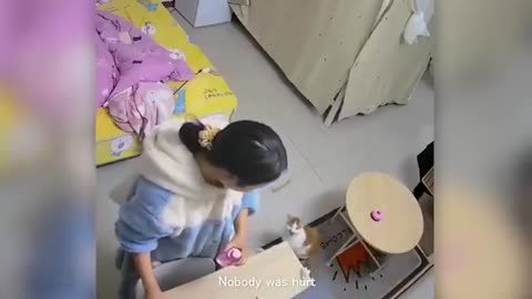Compilation New Funniest Cat Videos 😹 You laugh You Lose 🤣 Best of Funny Cat Videos 😂