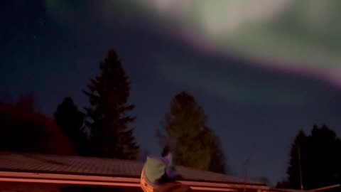 Dance of the Northern Lights