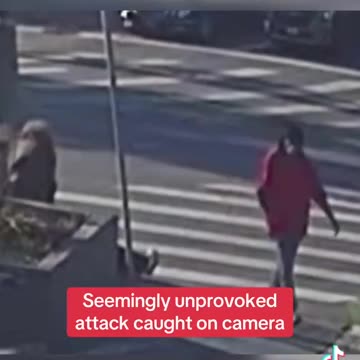 Unprovoked Dindu Savagery Against White People In The Street