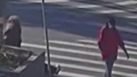 Unprovoked Dindu Savagery Against White People In The Street
