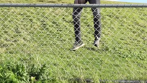 How do animal cross the fence