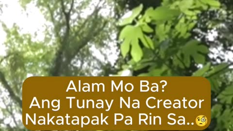 Nakaapak Pa Rin Sa Lupa