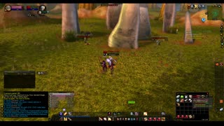 Turtle wow - The new server Ambershire - Paladin High Elf POV - Elwynn Forest