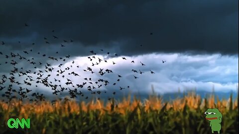 Wednesday Morning Notables - 1/21/2026 | Qnotables "4AM Talking Points" Live