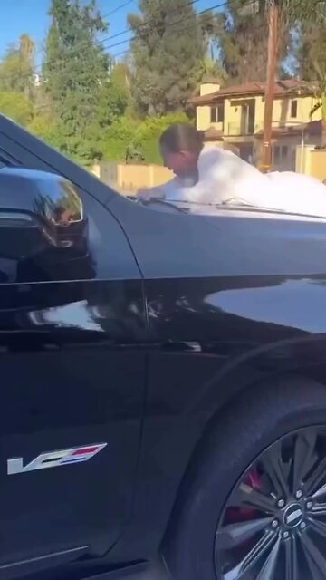 👀 Bhad Bhabie Clings to Moving Truck Amidst Abuse Allegations