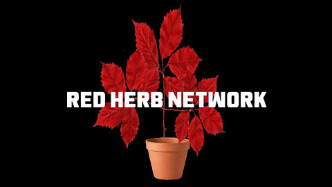 RED HERB NETWORK , RESIDENT EVIL