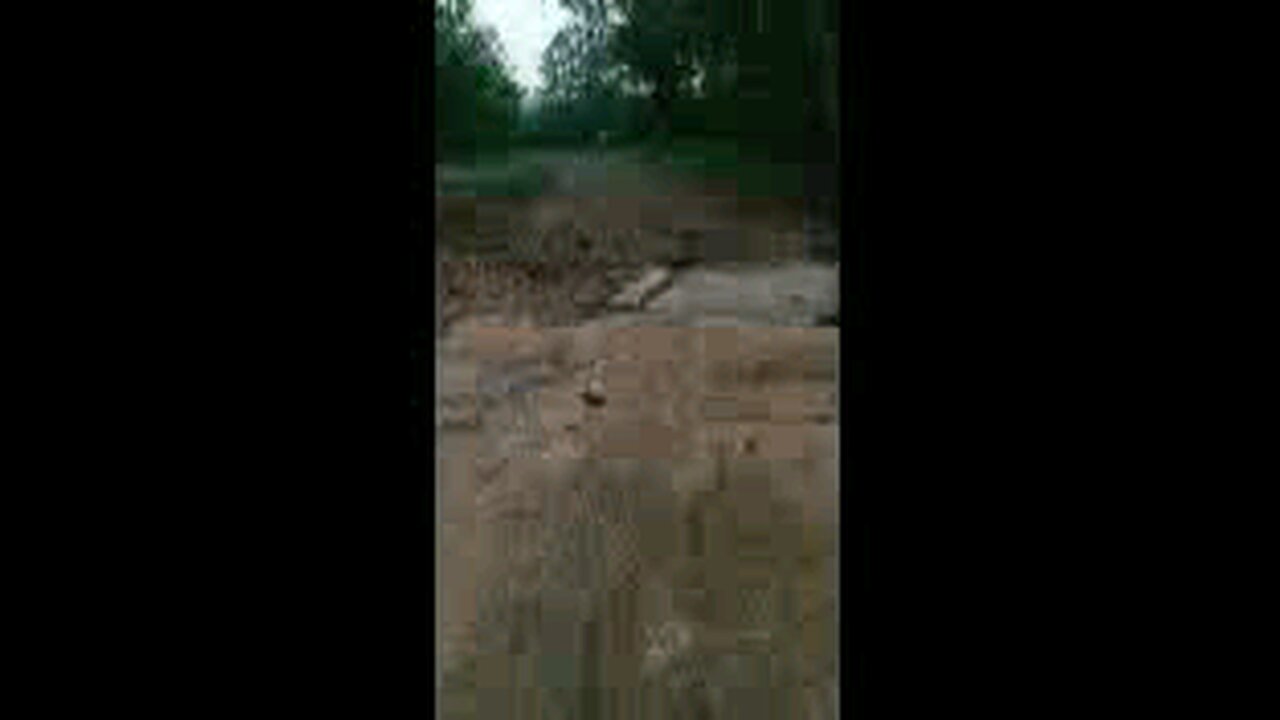 Storms 05/19/2025 (1)