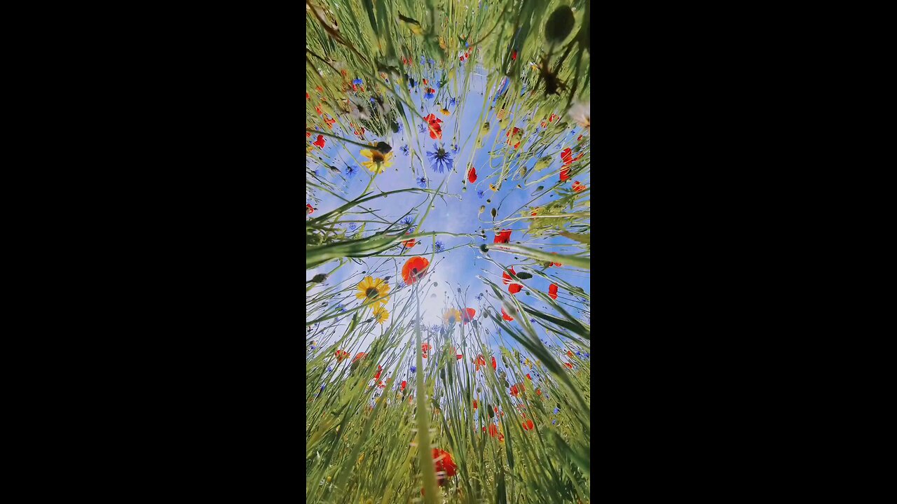 #foryoupage#viralvideo