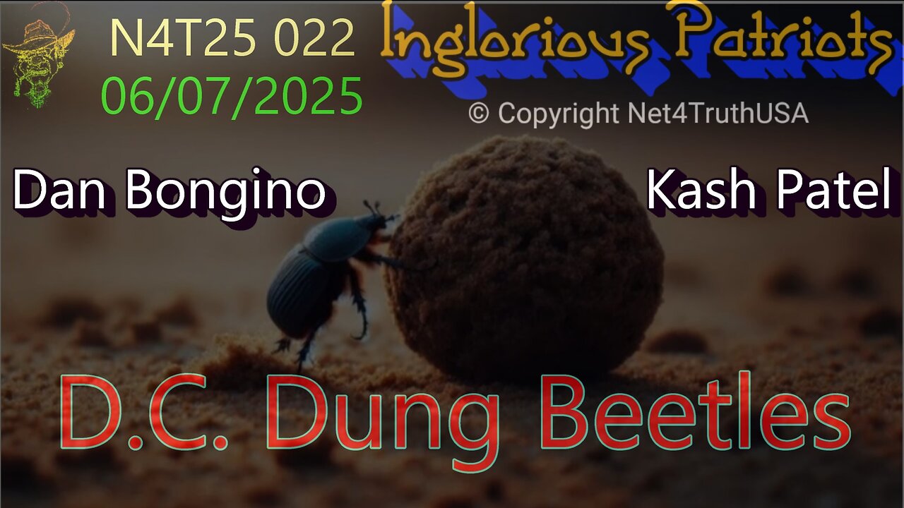 N4T25 022 - DC Dung Beetles