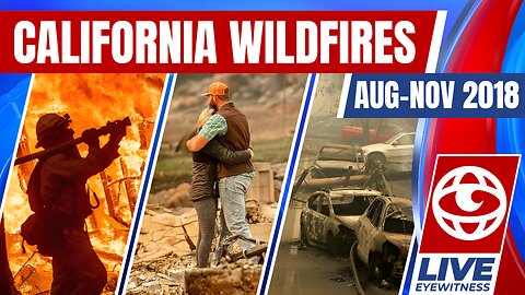 California Wildfires Shocking Eyewitness Footage Of Deadly Blazes As It Happened