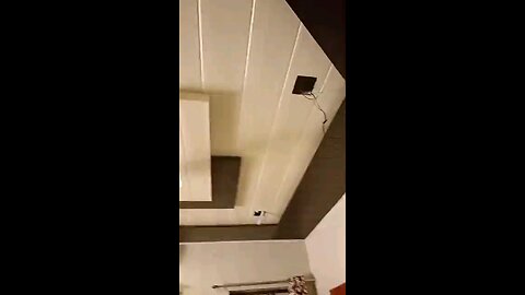 satisfying Video