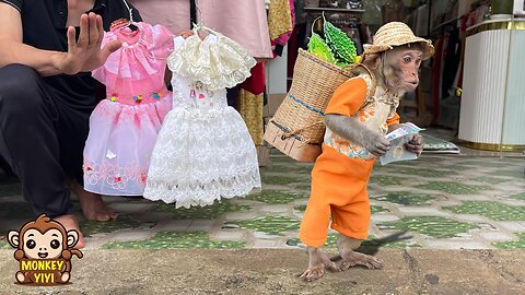Touching! YiYi secretly harvests bitter melon to sell to help YinYin buy a wedding dress