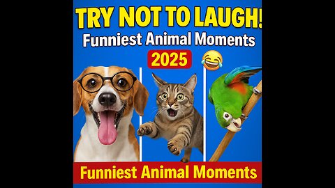 Funniest Different Animal Videos Compilation 2025 🐾😂 | Try Not to Laugh!