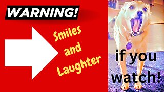 Warning! Smiles are Contagious!