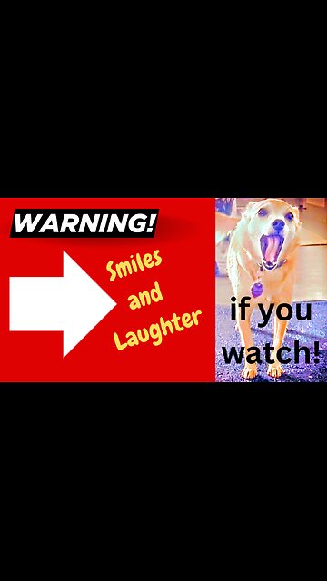 Warning! Smiles are Contagious!